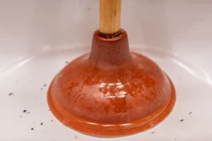 plunger-blocked-drain-main-sewer-line